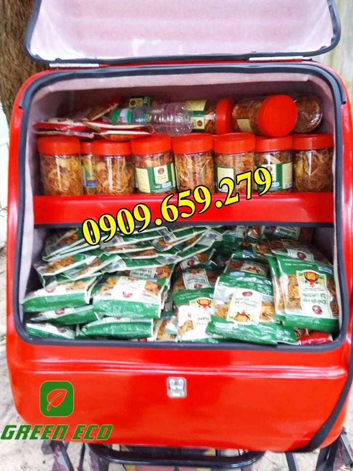 Thùng chở hàng sau xe máy GE07.